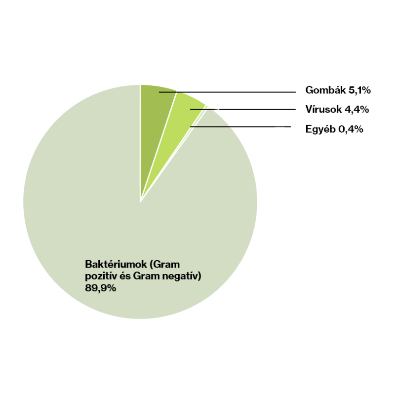 diagram.png